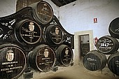 Jerez de la Frontera, Sherry bodega